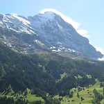 Bel-Air Eden