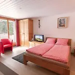 Mom - Alpine Boutique Apartments, Grindelwald Gletscher, Eiger View Terrace Studio