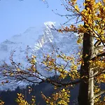 Beim See