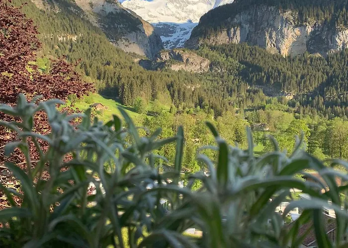 Velvet Eiger