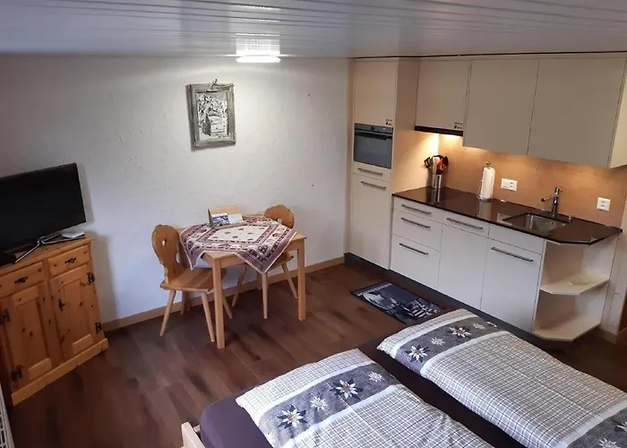 Chalet Burgstein, Studio Alpenrose