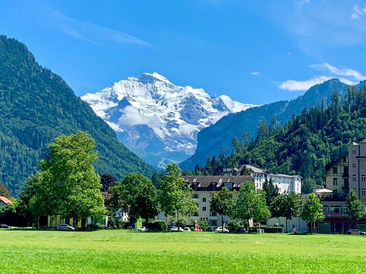 Moench Amazing * Grindelwald