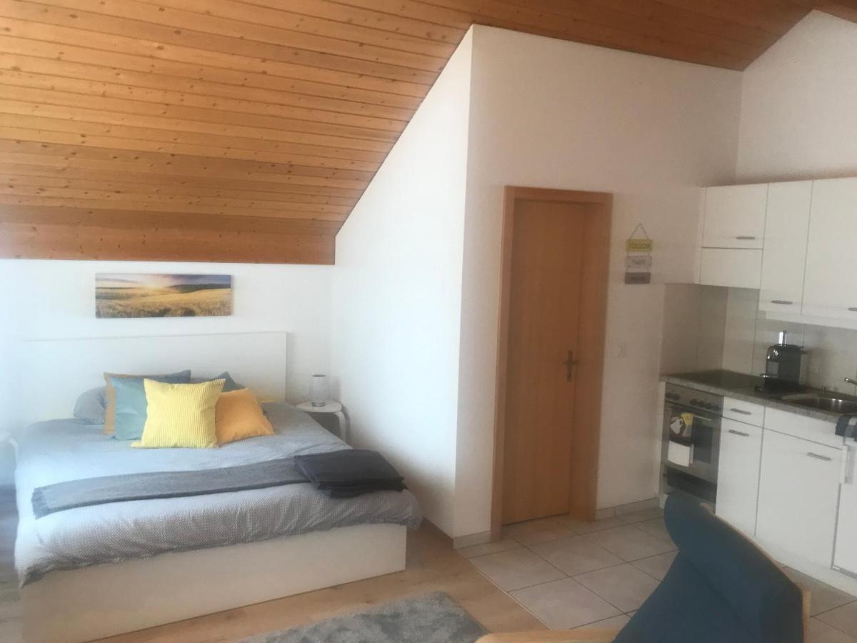 Studio Central Grindelwald Apartment