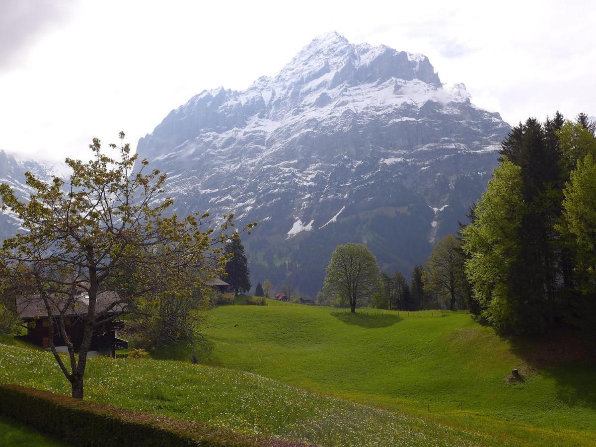 Jrene By Interhome Grindelwald