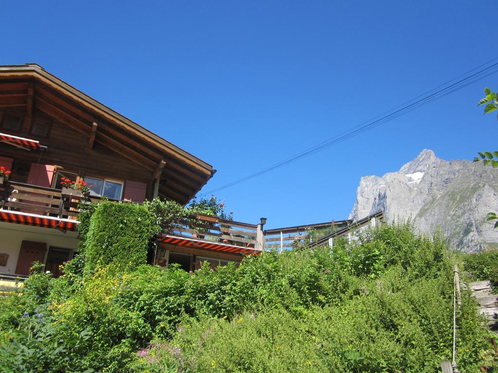 Am Hang Grindelwald