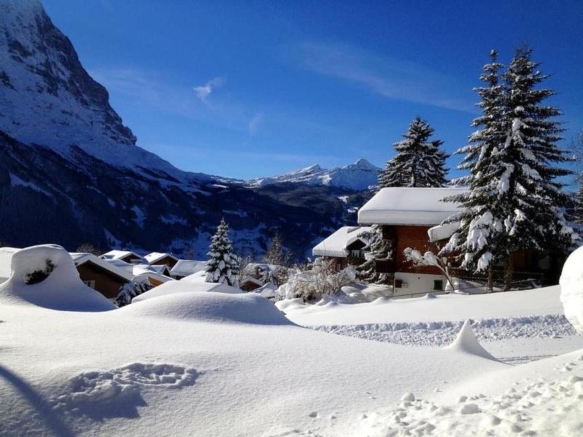 Chalet Mislin, Direkte Bergsicht