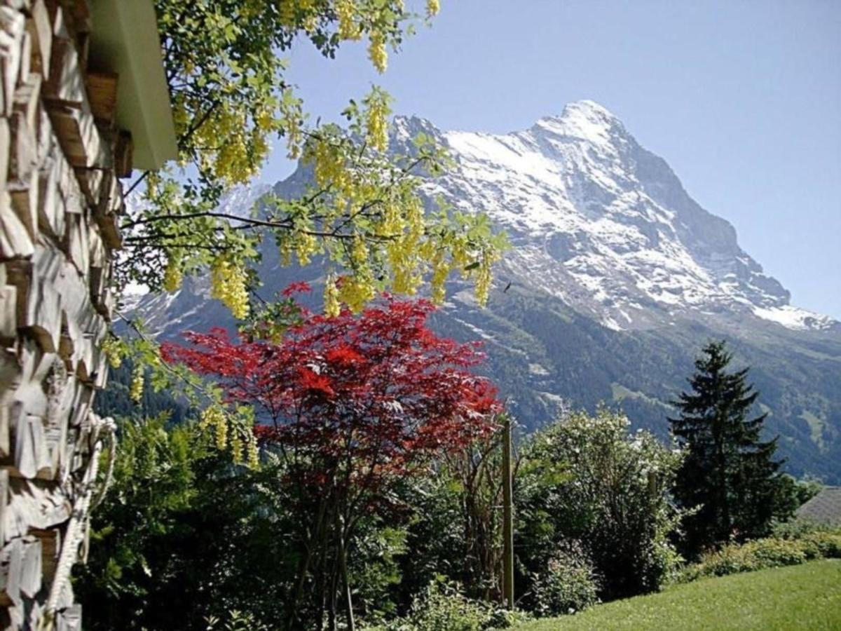 Chalet Mislin, Direkte Bergsicht * Grindelwald
