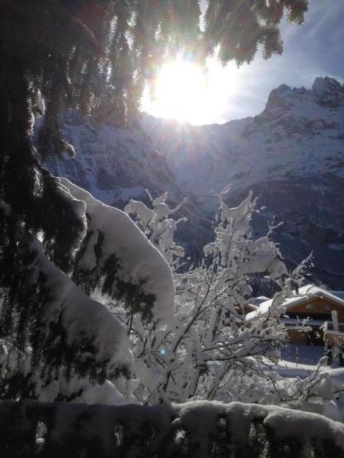 Chalet Mislin, Direkte Bergsicht * Grindelwald