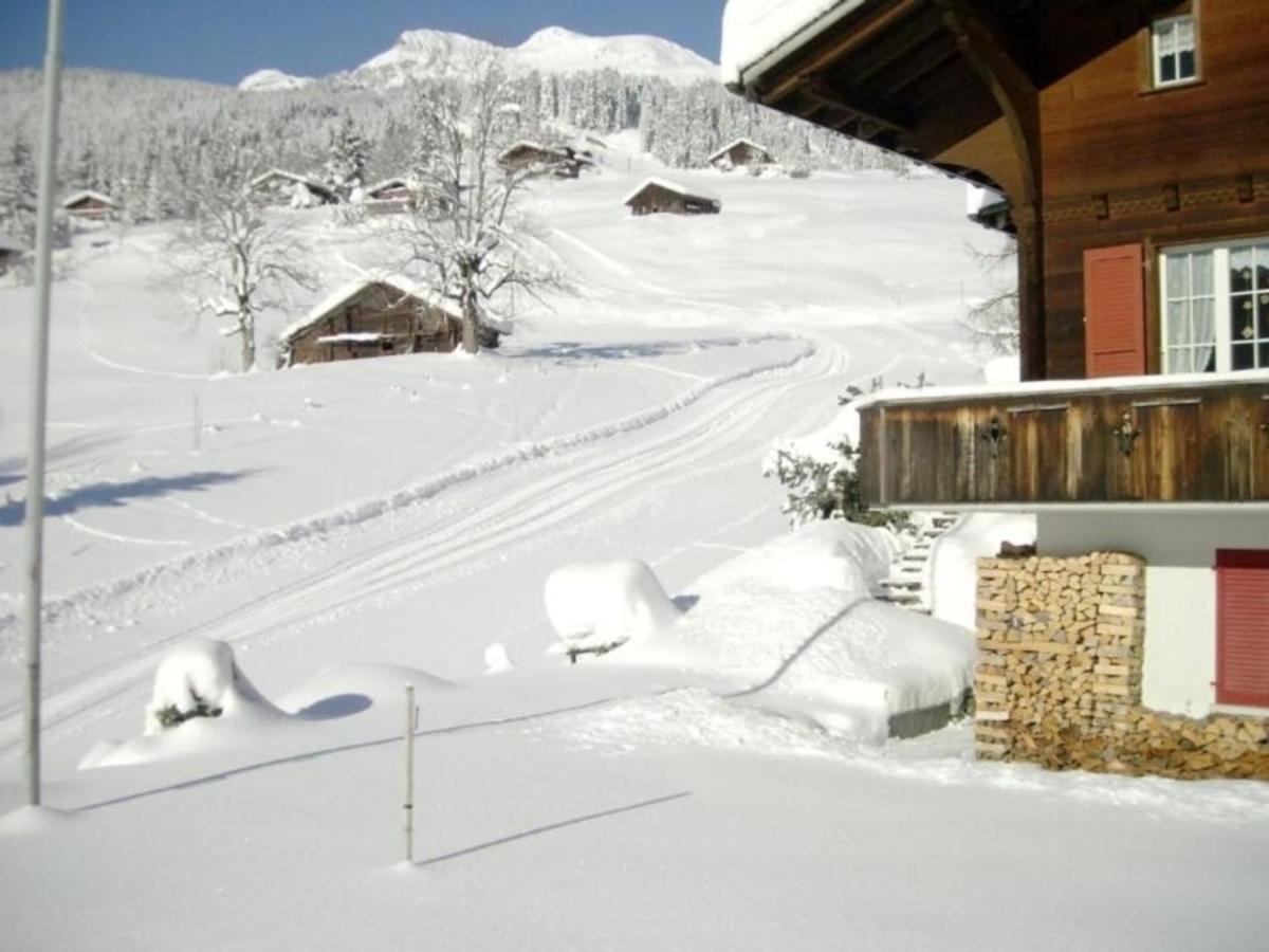 Apartment Chalet Mislin, Direkte Bergsicht Grindelwald