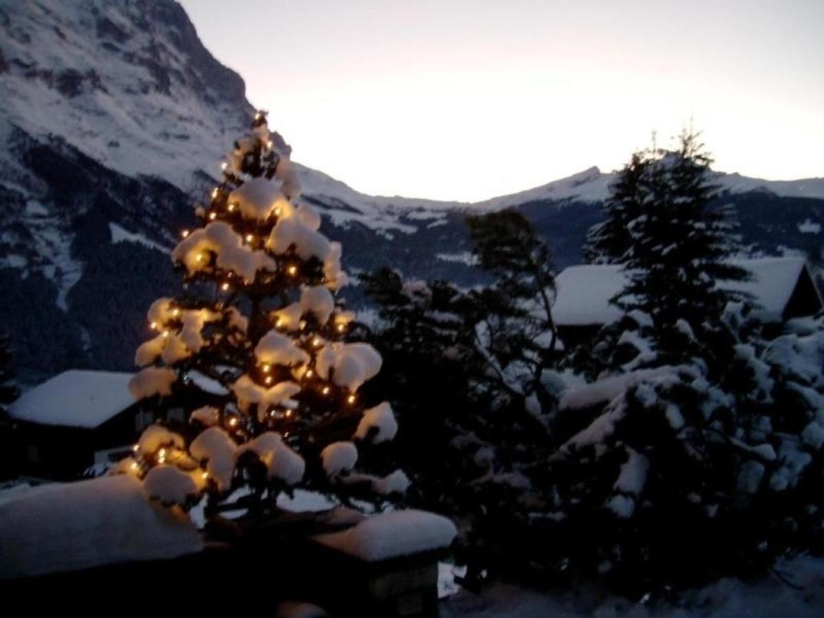 Chalet Mislin, Direkte Bergsicht *