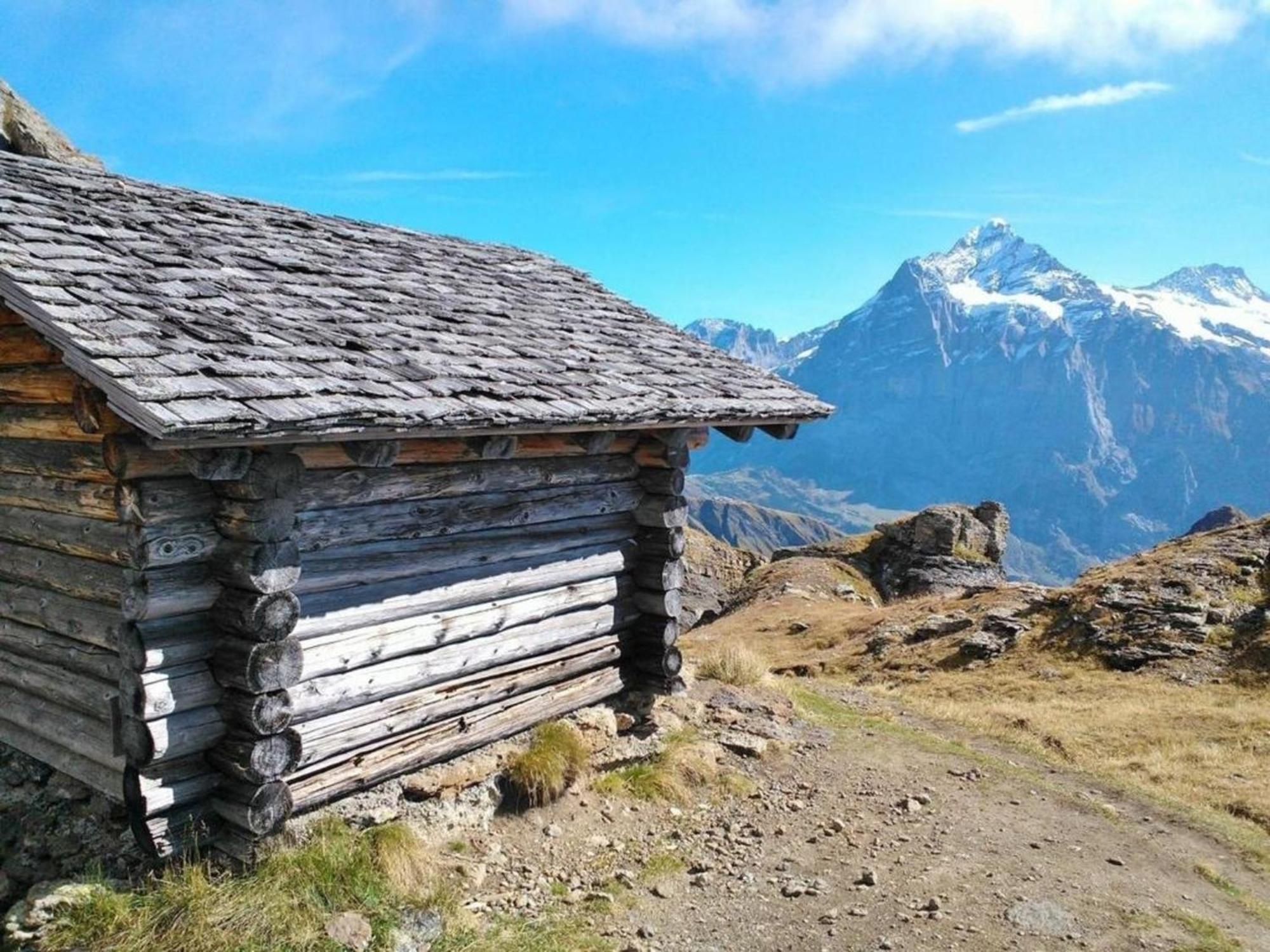 Chalet Stieregg, Studio West Apartment *