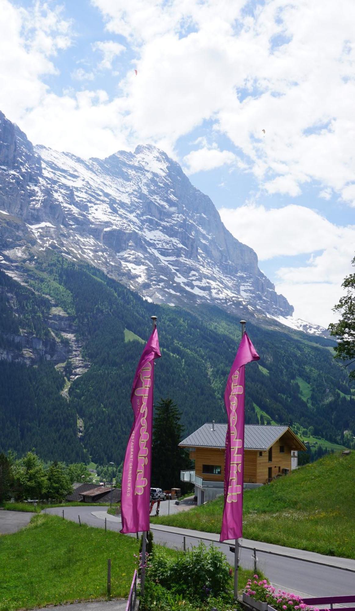 Inn Alpenblick 3*