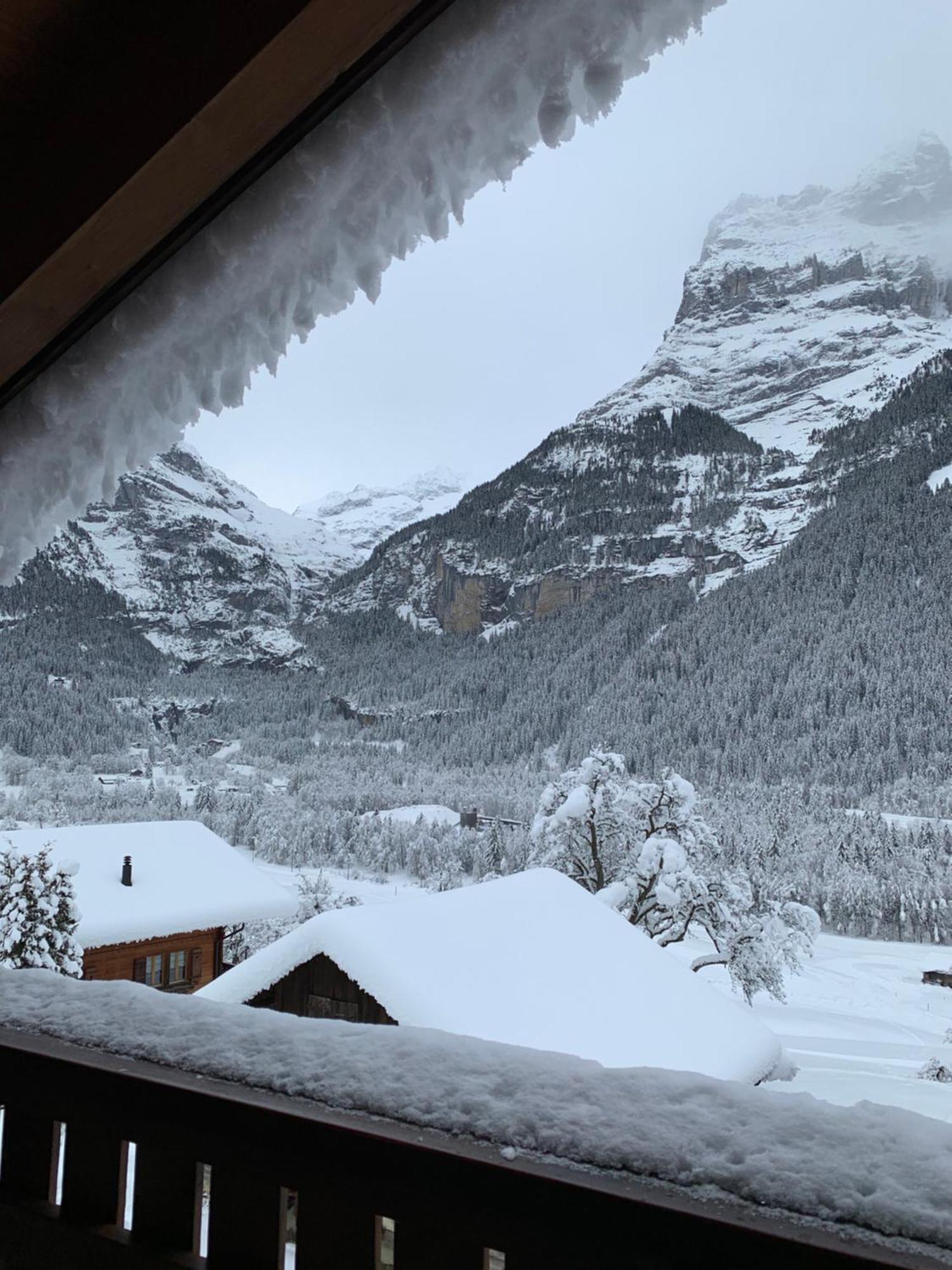 Silberhorn * Grindelwald