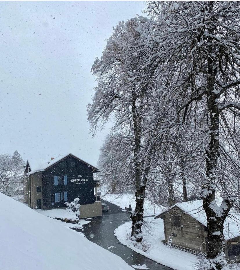 Lodge Eiger View Alpine *