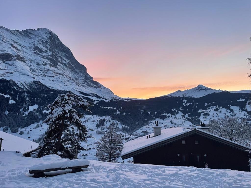 Eiger View Alpine * Grindelwald
