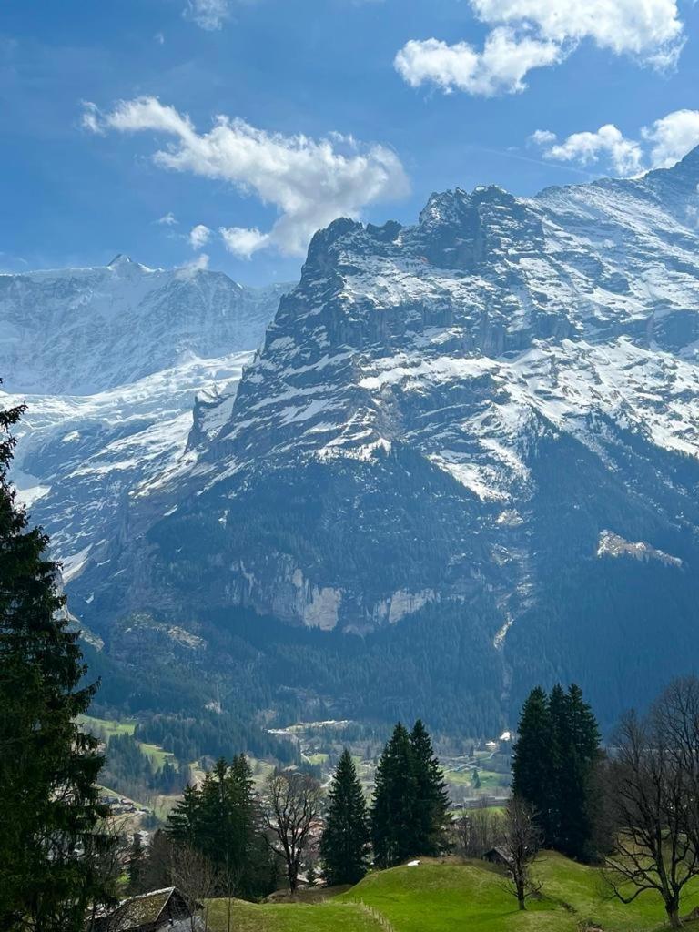 Eiger View Alpine Grindelwald