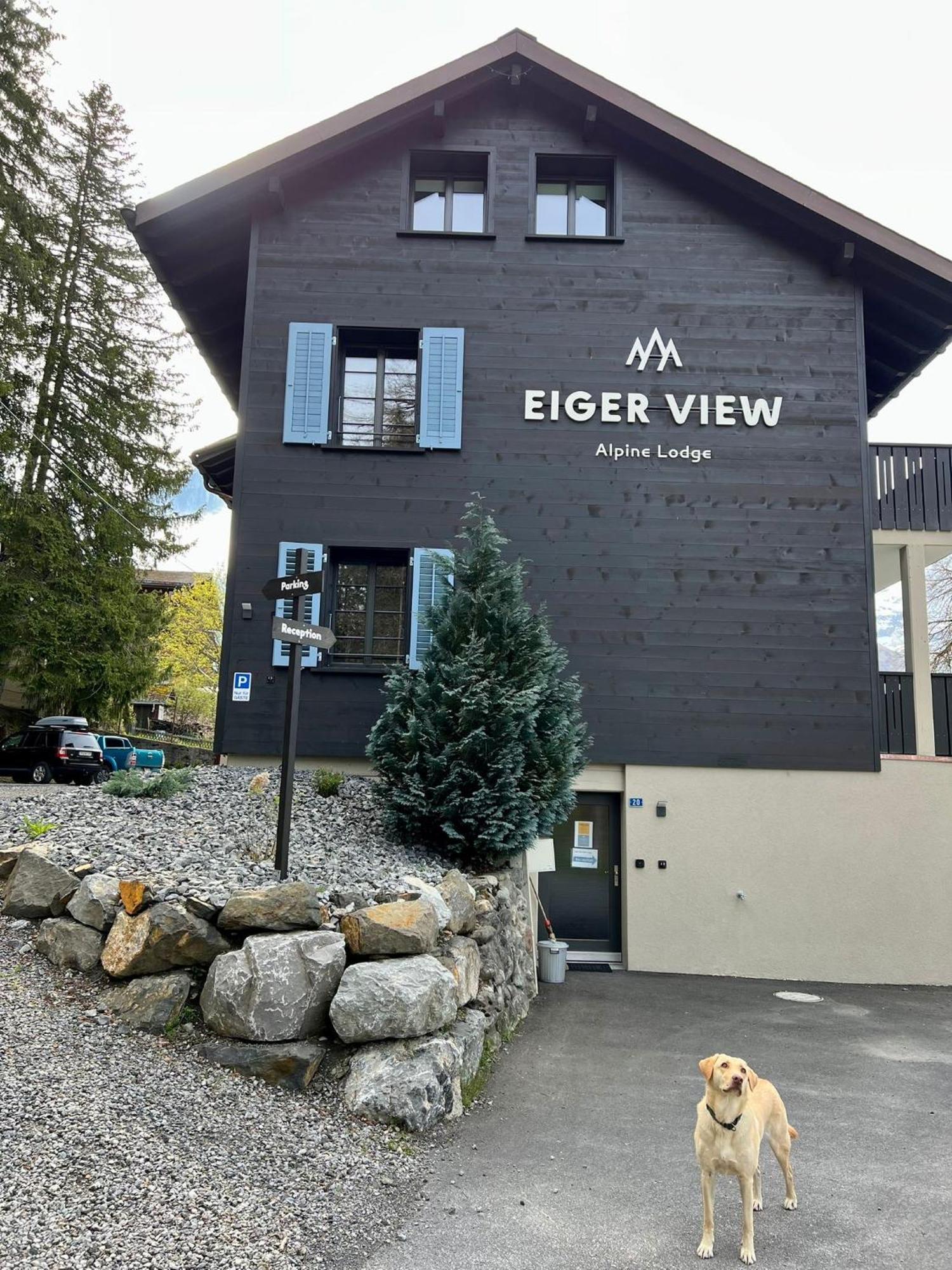 Eiger View Alpine