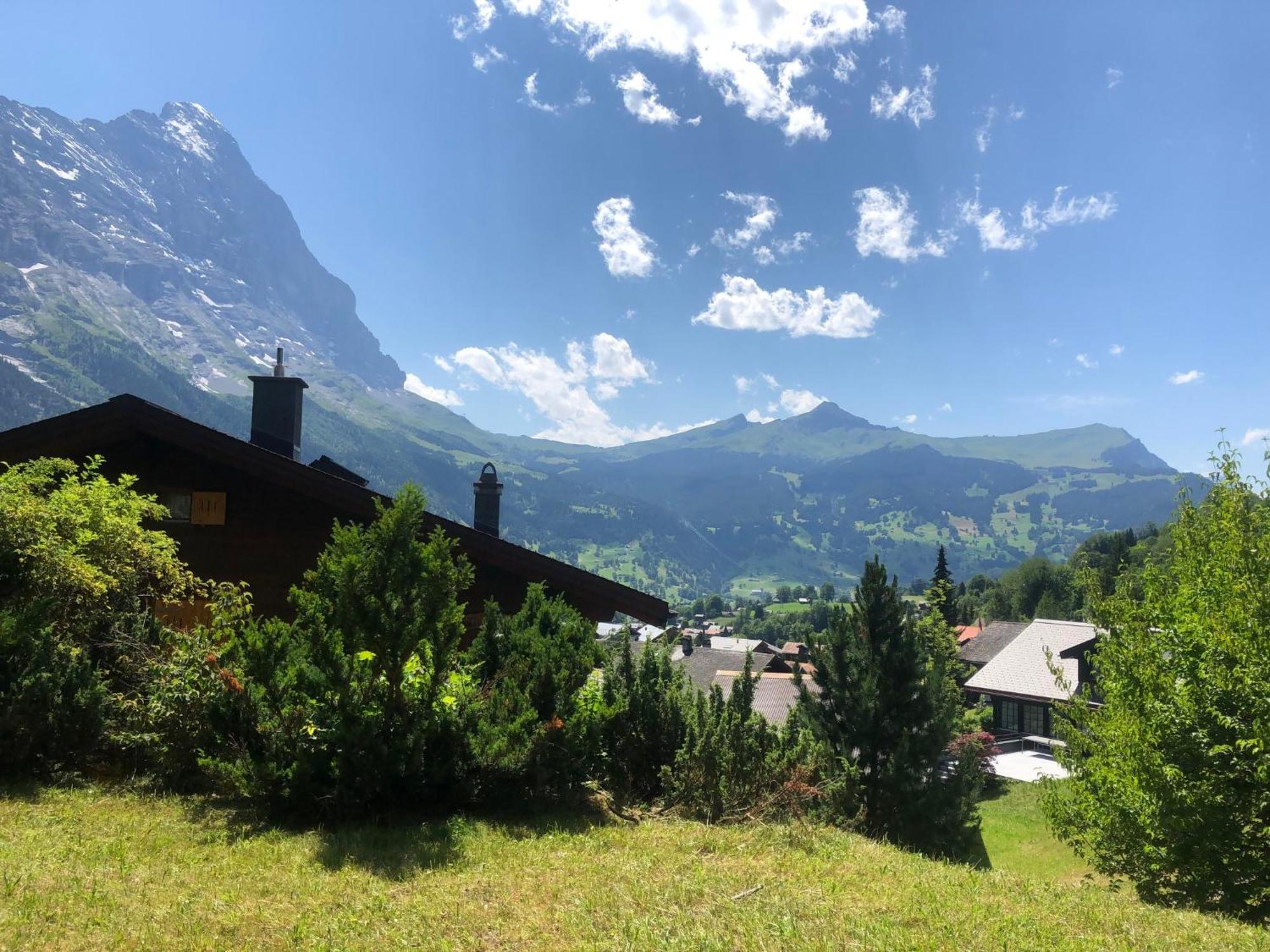 Sunneblick