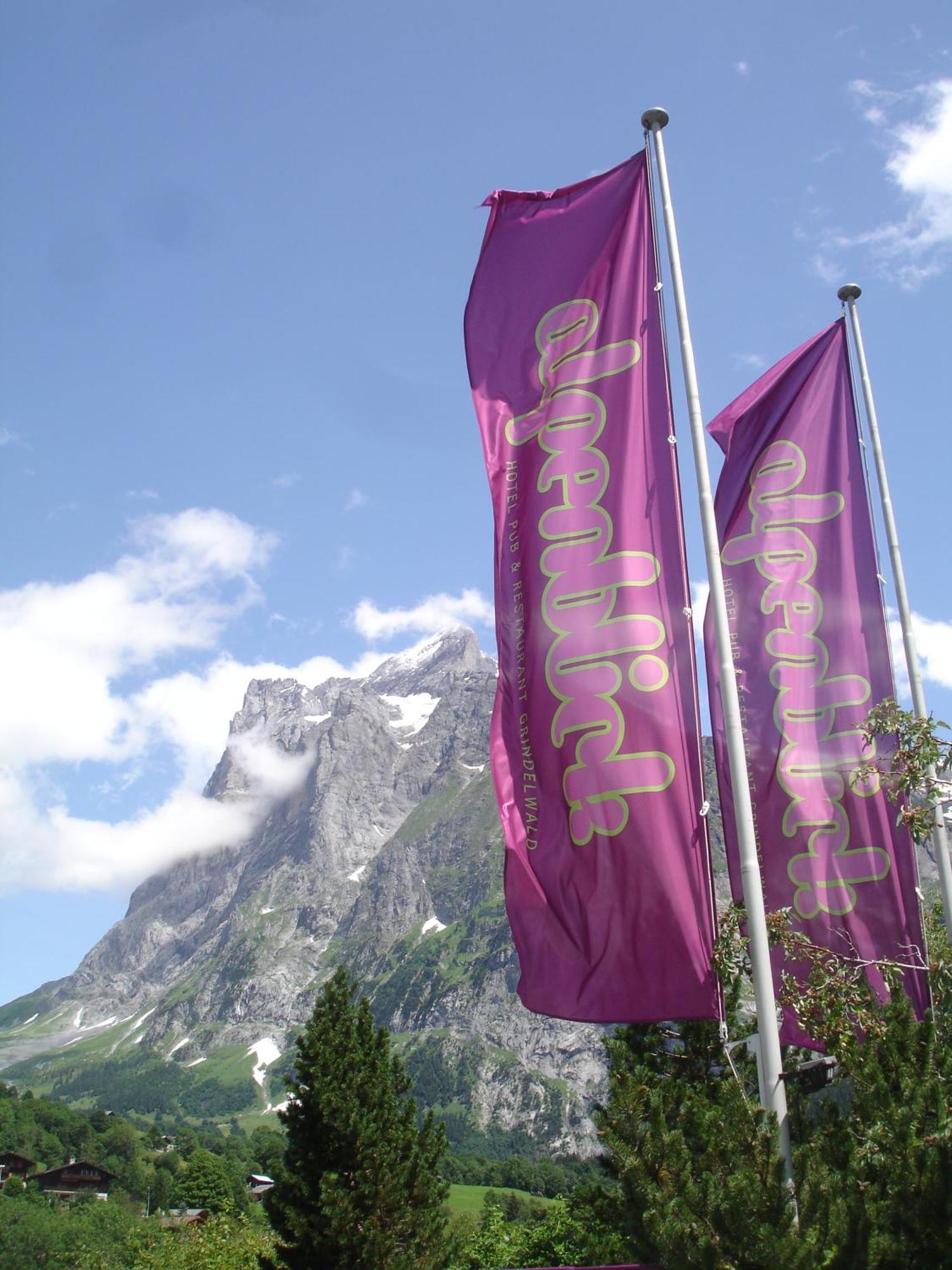 Inn Alpenblick 3*