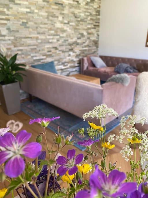 Apartment Velvet Eiger Grindelwald