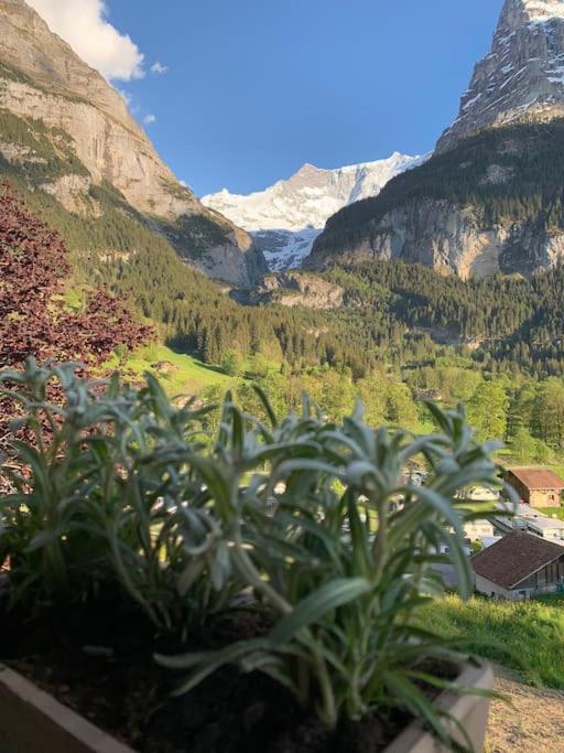 Velvet Eiger Apartment Grindelwald