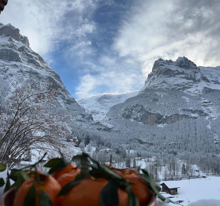 Apartment Velvet Eiger