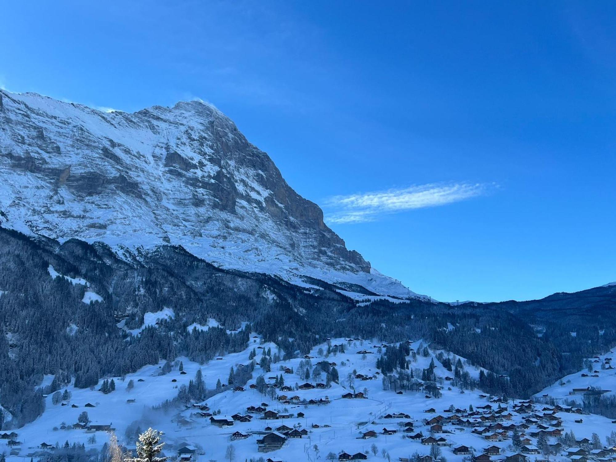 Hotel Jungfrau Lodge, Annex Crystal 3*
