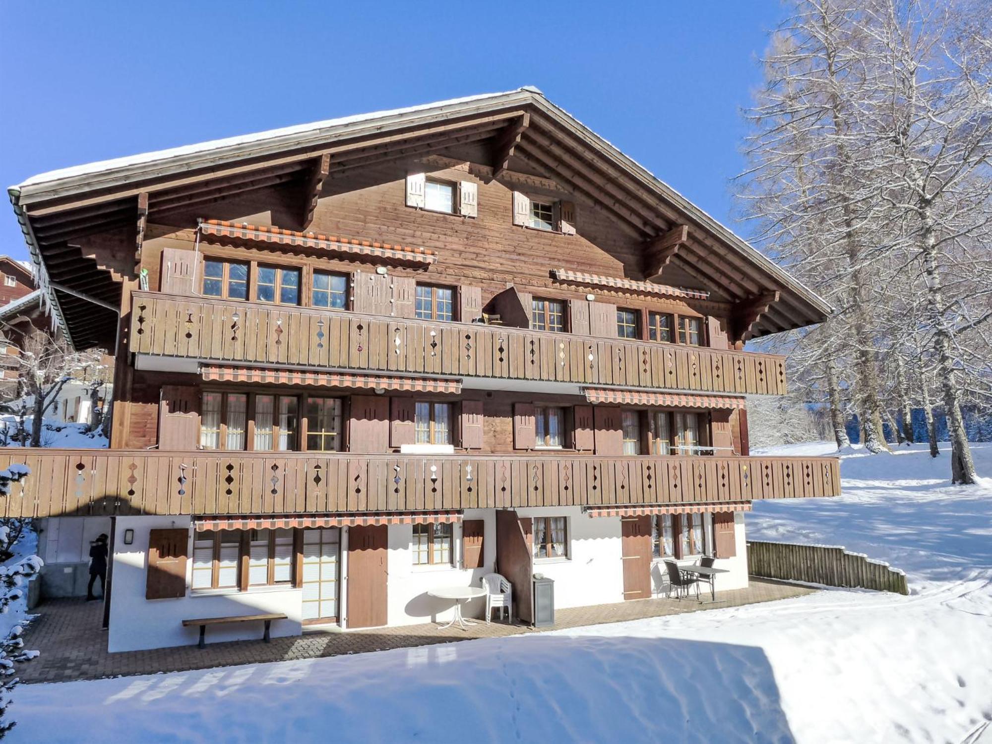 Apartment Heidi By Interhome Grindelwald