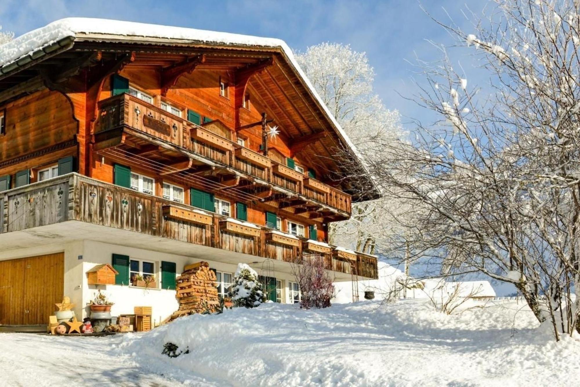 Burgstein, Alpenrose Apartment Grindelwald