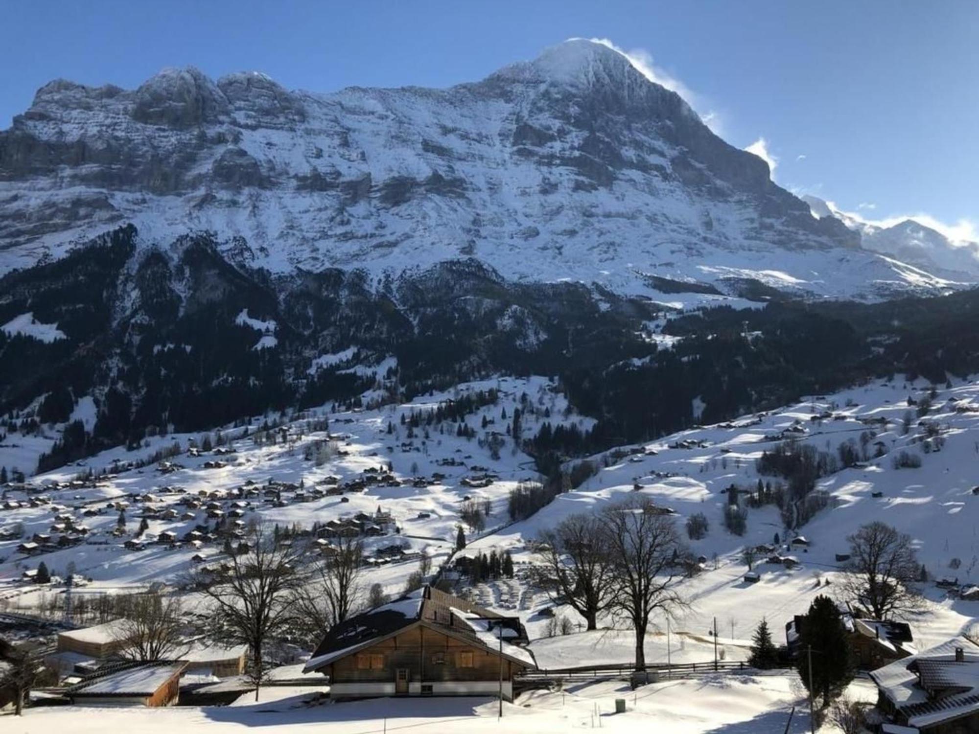 Burgstein, Alpenrose