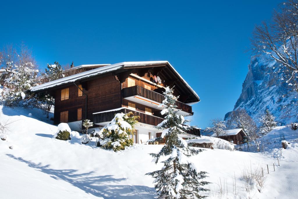 Mom - Alpine Boutique Apartments, Gletscher, Eiger View Terrace Apartment Grindelwald
