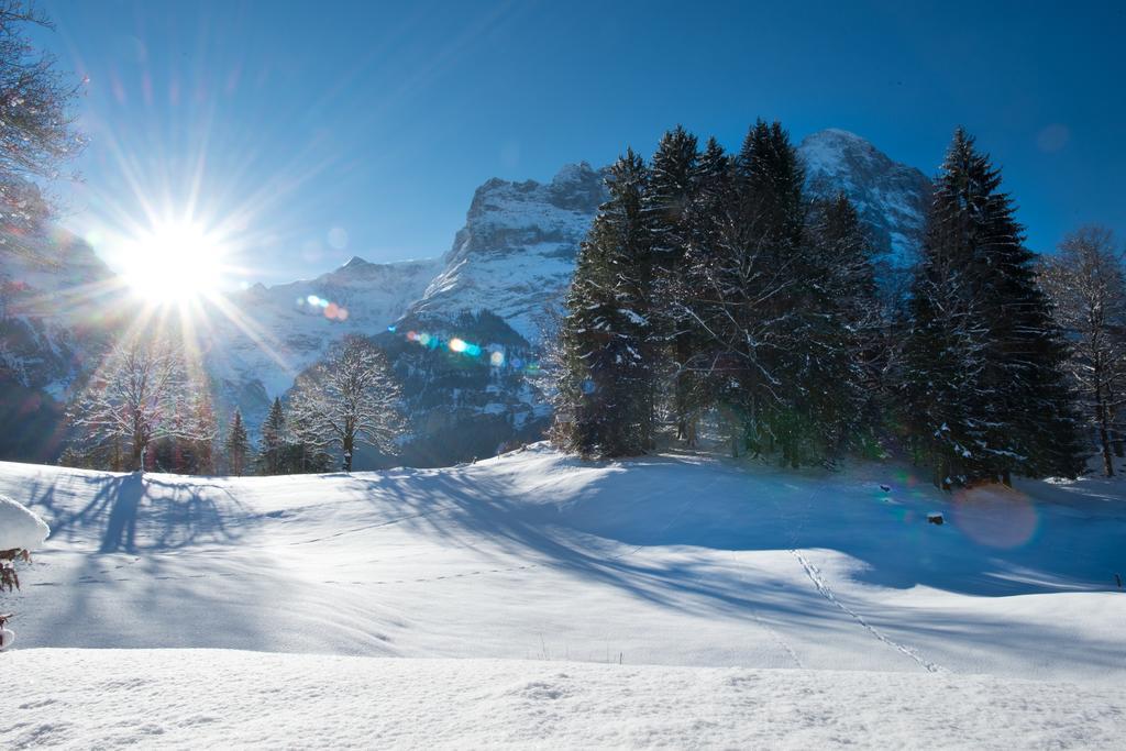 Mom - Alpine Boutique Apartments, Gletscher, Eiger View Terrace *