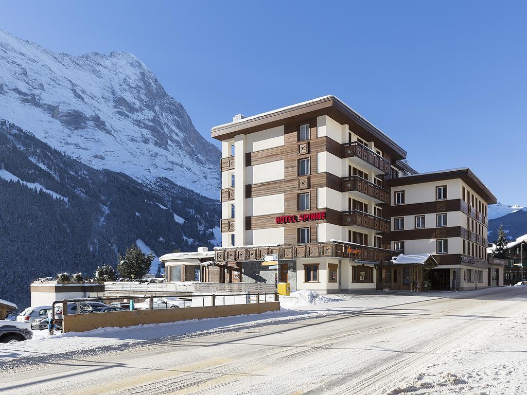 Spinne Hotel