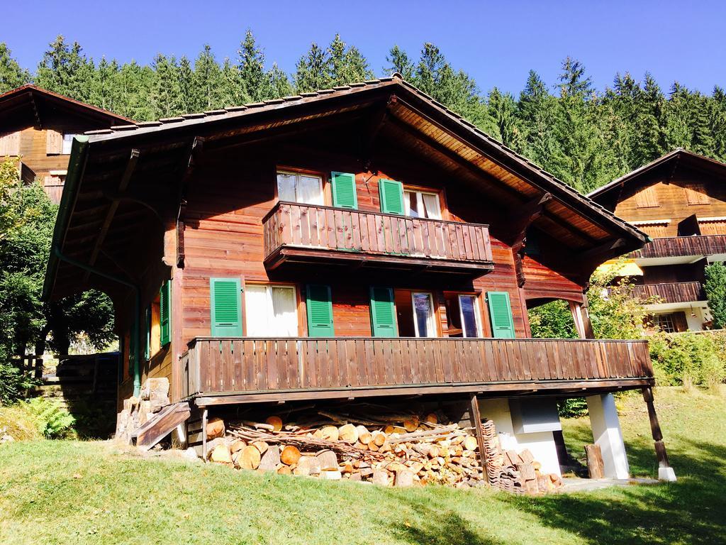 Chalet Oben Hegen *