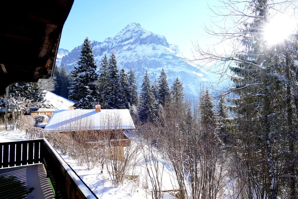 Apartment Chalet Oben Hegen *