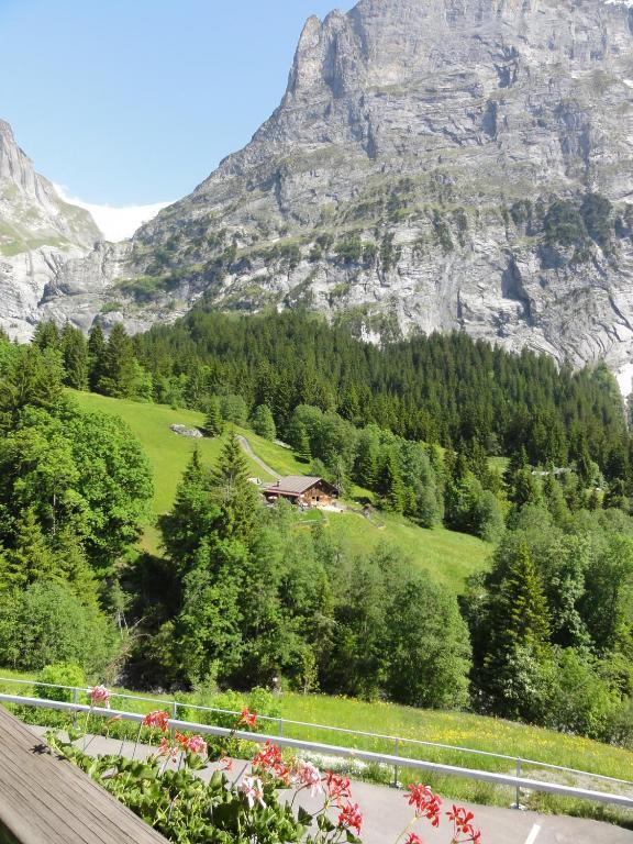 Blumlisalp Hotel 2*
