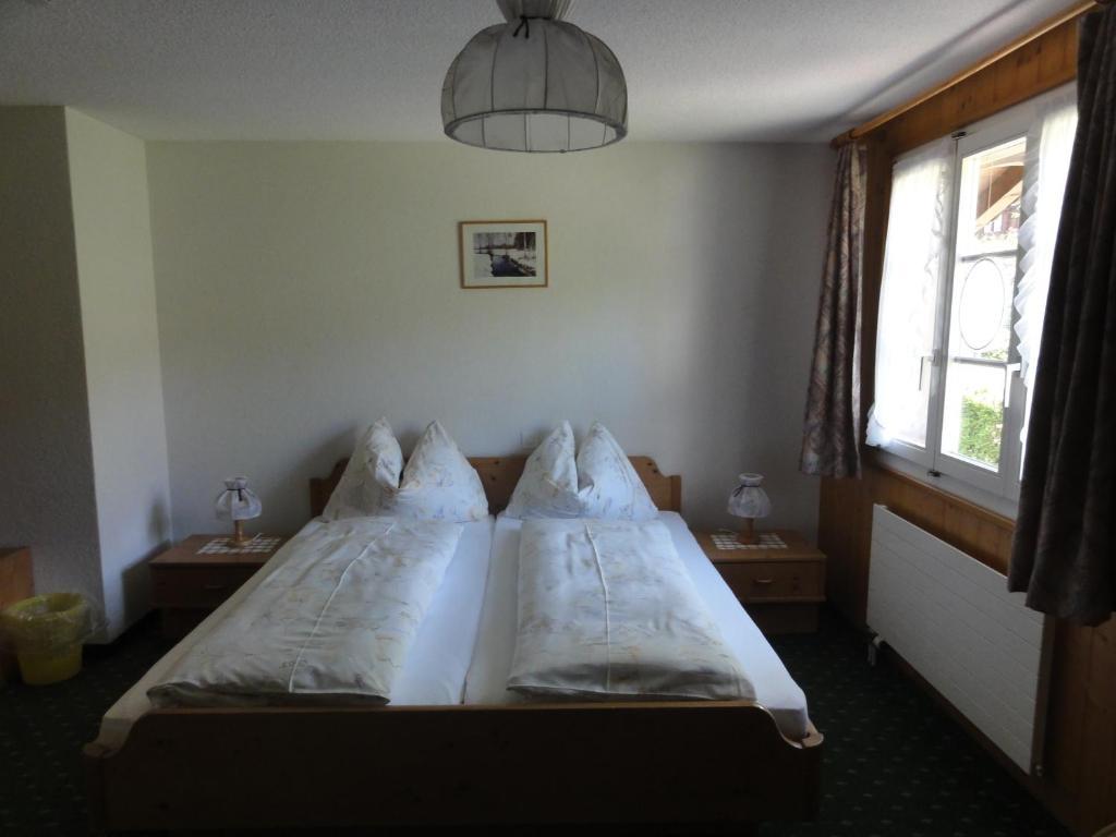 Blumlisalp Hotel 2*