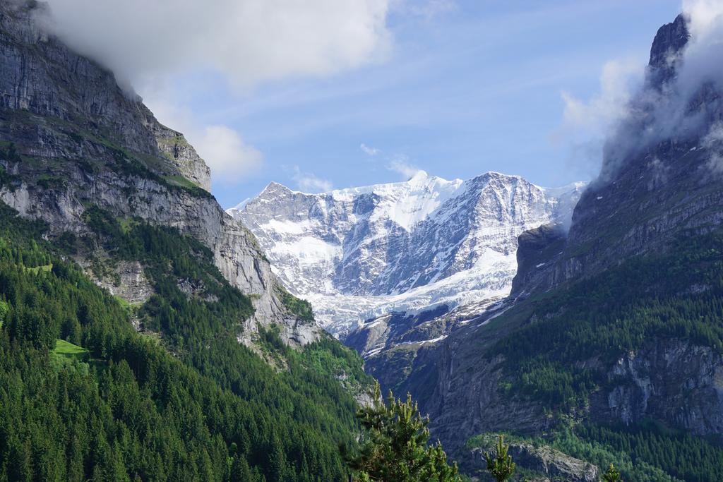 Inn Alpenblick