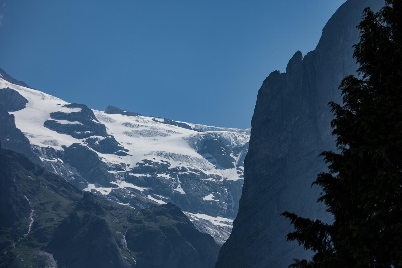 Hirschen * Grindelwald