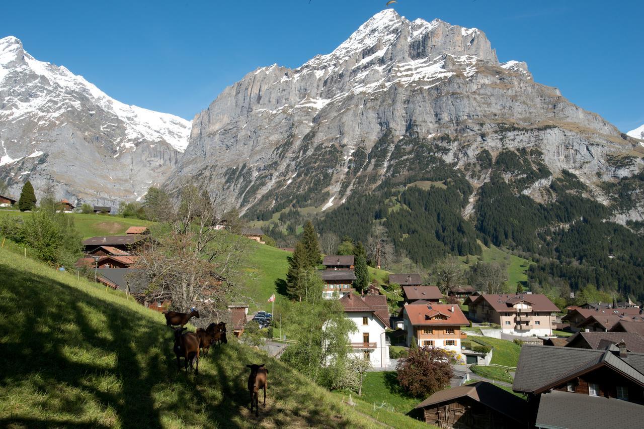 Sonnenberg Grindelwald