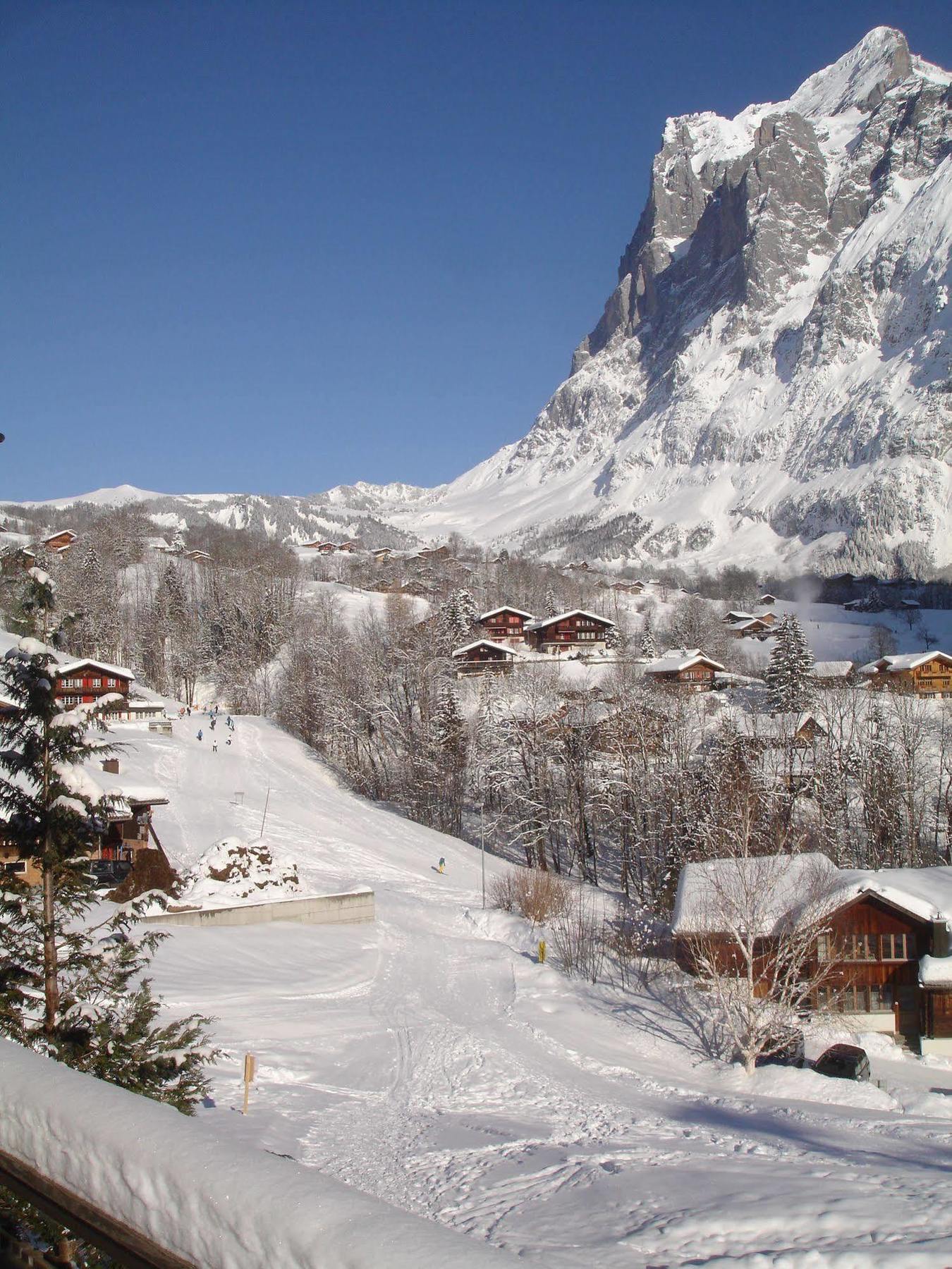 Alpenblick