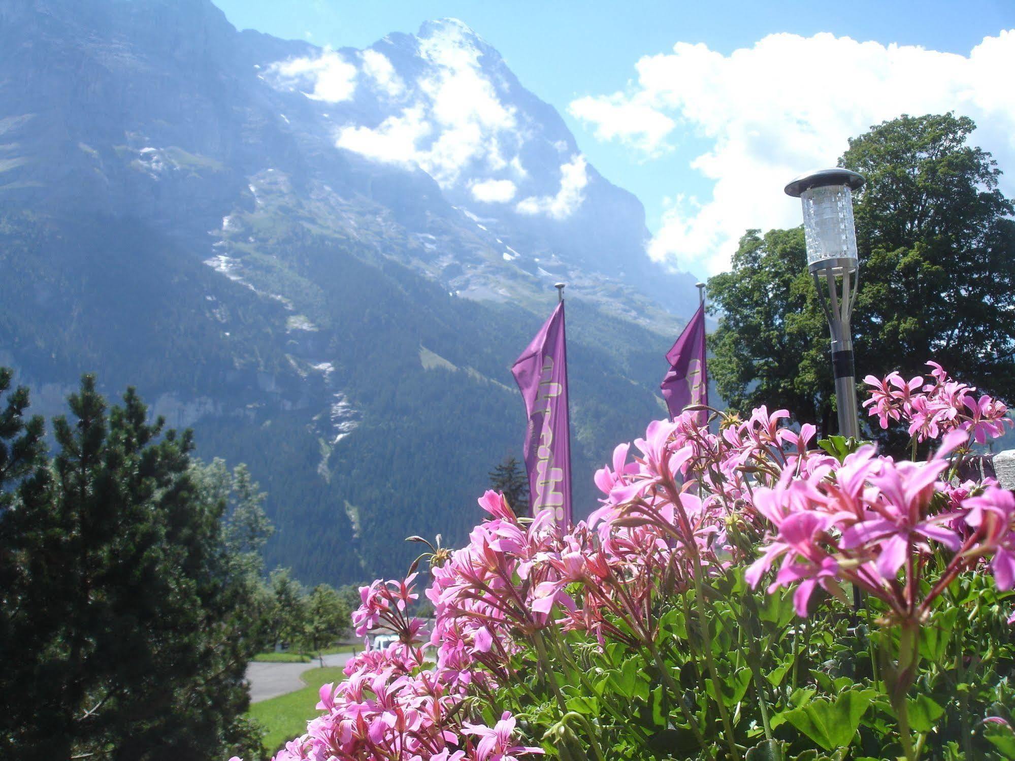 Inn Alpenblick