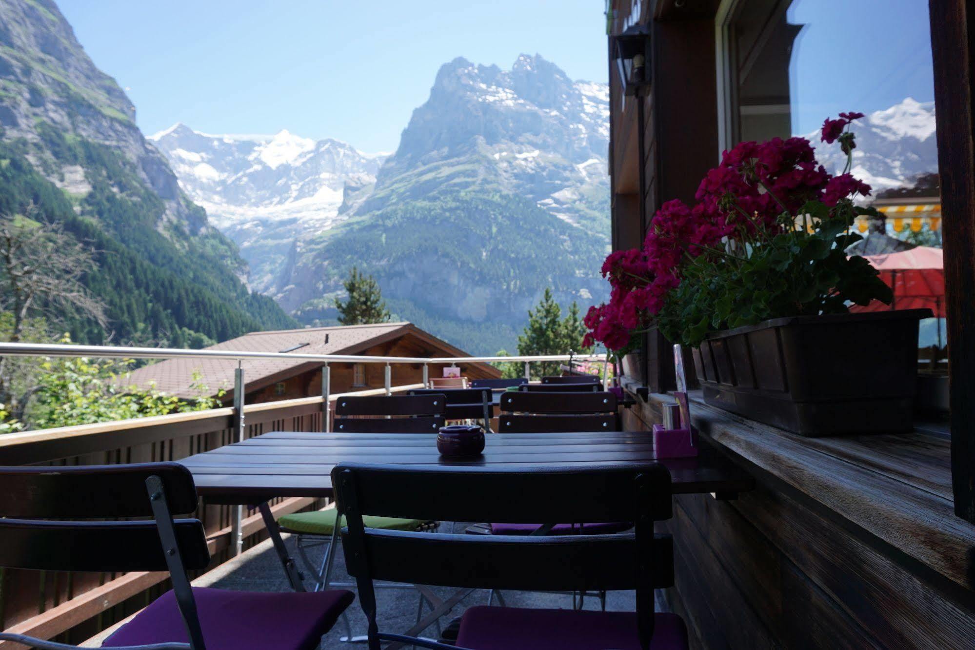 Alpenblick Inn 3*