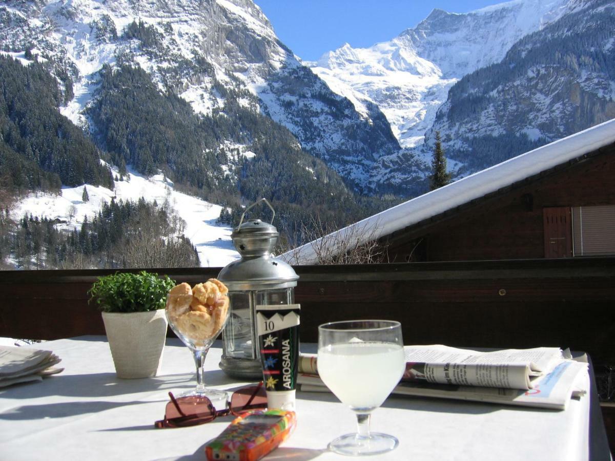 Casa Almis, Apartment Grindelwald