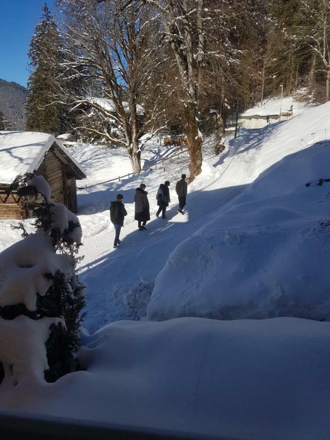 Eiger View Homestay Grindelwald
