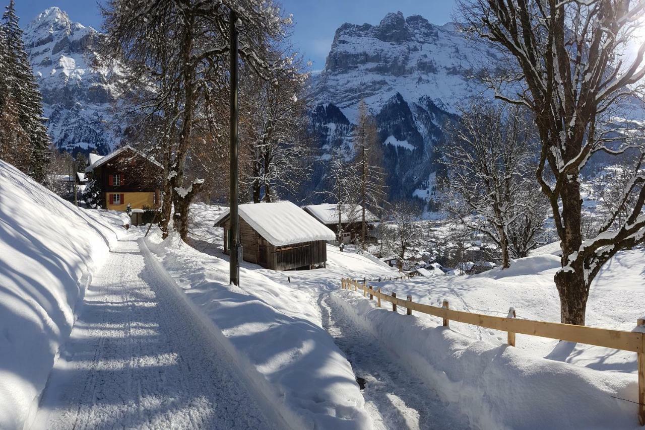 Homestay Eiger View