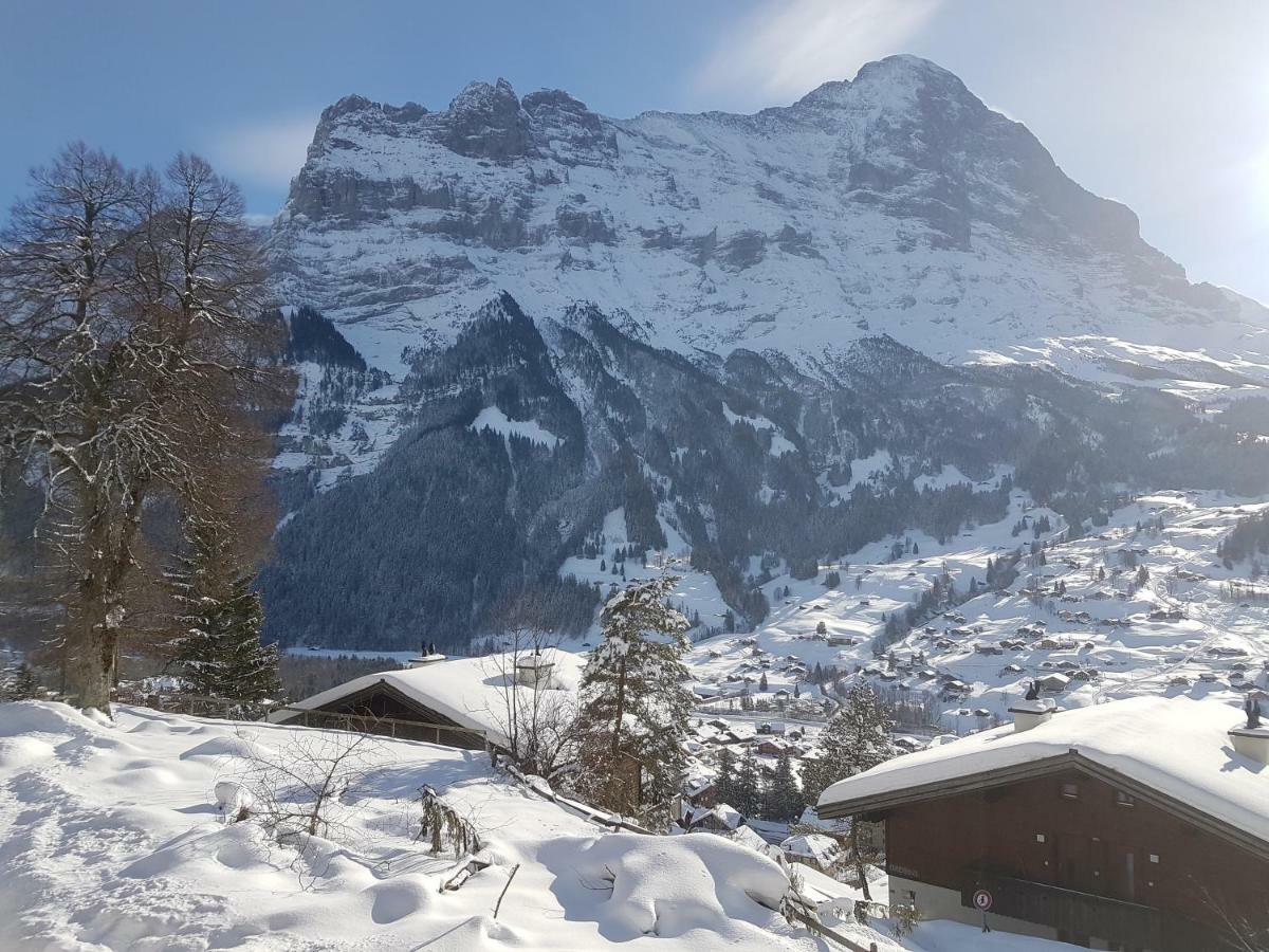 Eiger View * Grindelwald