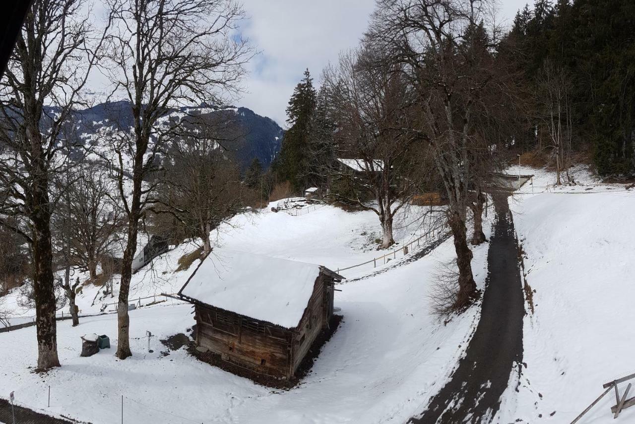 Homestay Eiger View