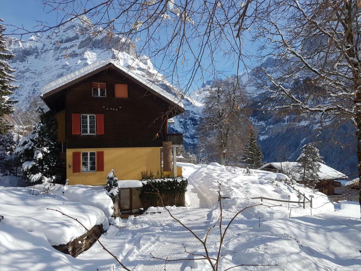 Eiger View Homestay *