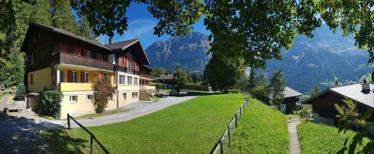 Eiger View Homestay *